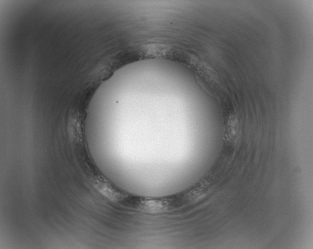 X0000073490522200608140845