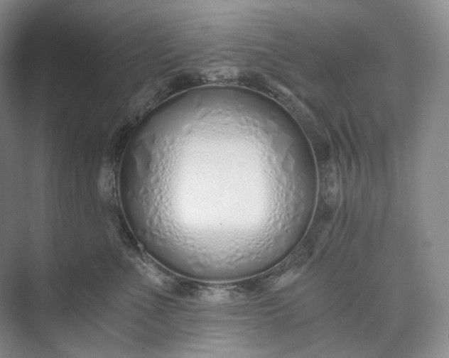 X0000073490523200608140845