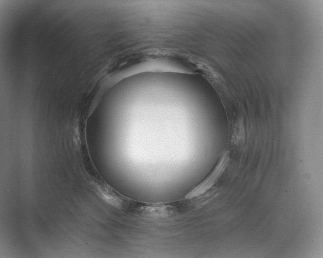 X0000073490524200608140845