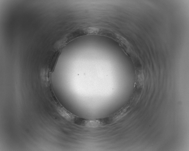 X0000073490525200608140845