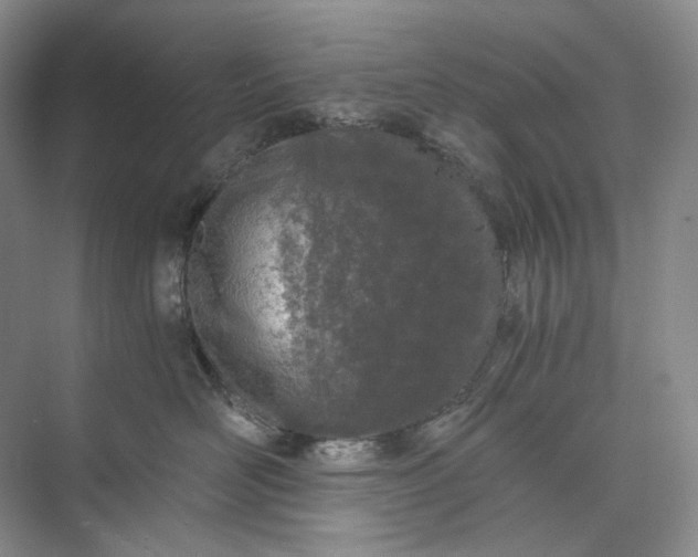 X0000073490526200608140845