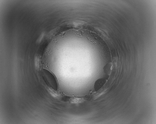 X0000073490527200608140845