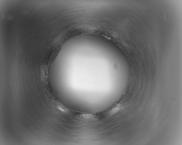 X0000073490528200608140845