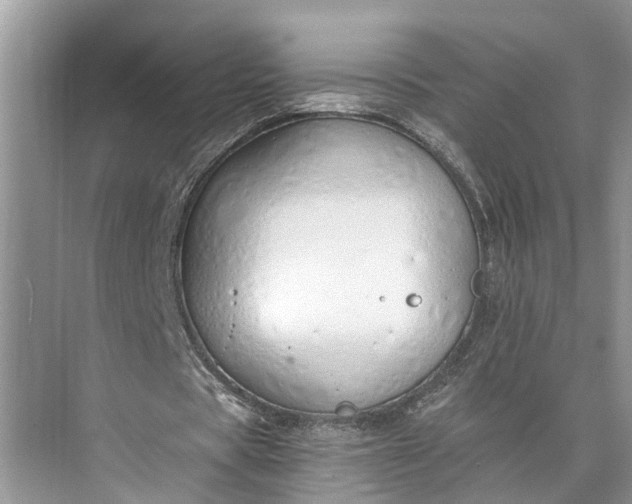 X0000073490529200608140844