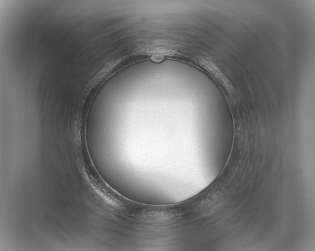 X0000073490533200608140844