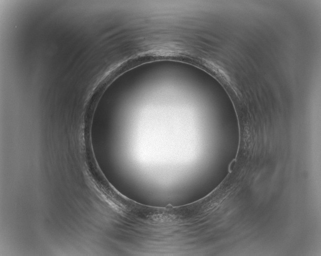 X0000073490535200608140844