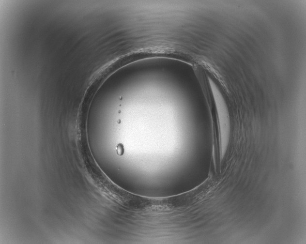 X0000073490536200608140845