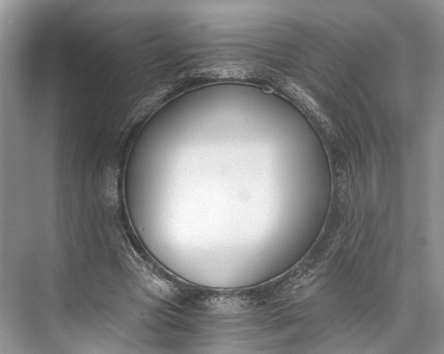 X0000073490537200608140845