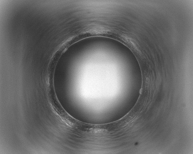 X0000073490539200608140845