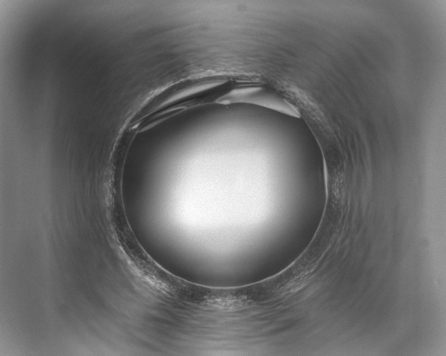 X0000073490540200608140845