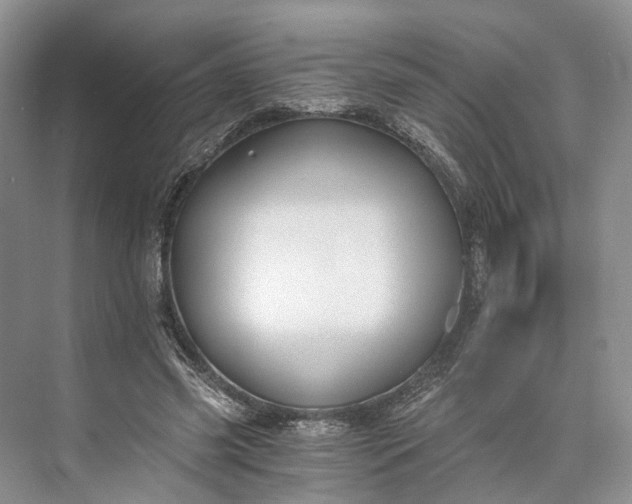 X0000073490541200608140845