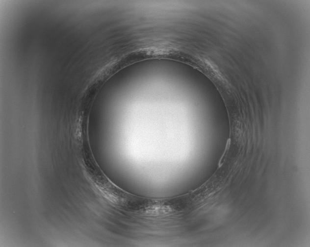 X0000073490543200608140845