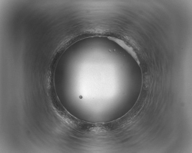 X0000073490544200608140845