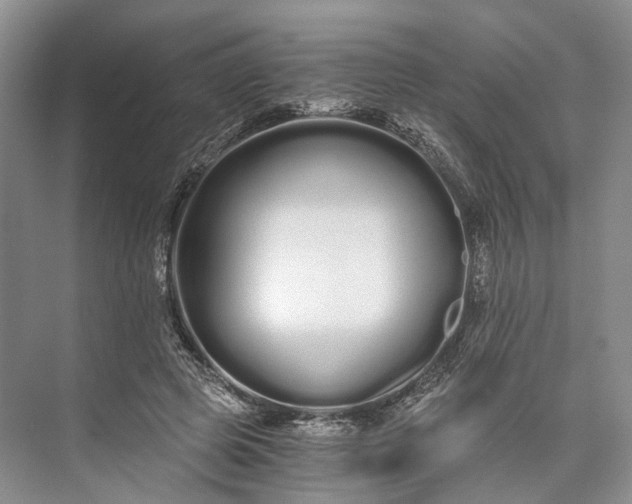 X0000073490545200608140845