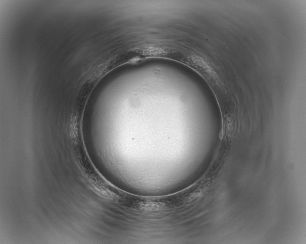 X0000073490549200608140845