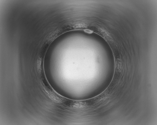 X0000073490550200608140845