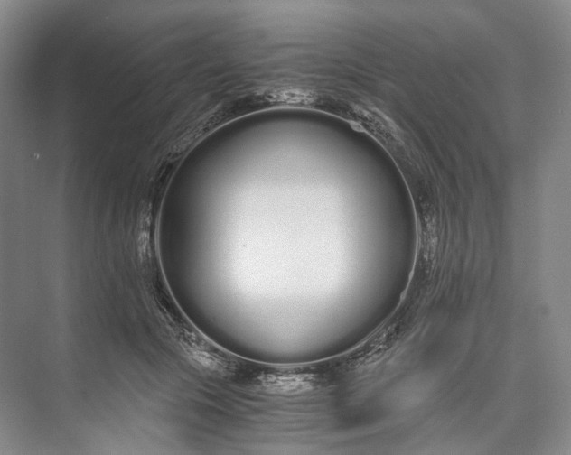 X0000073490553200608140845