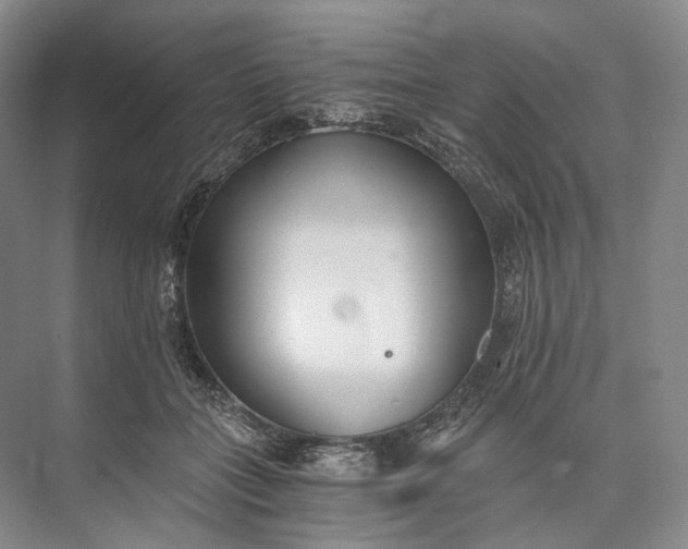 X0000073490555200608140845