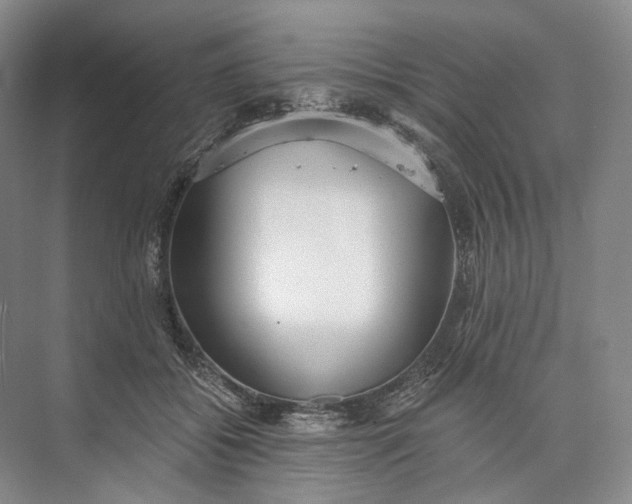 X0000073490556200608140845