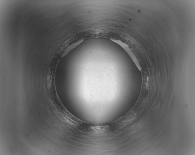 X0000073490558200608140845