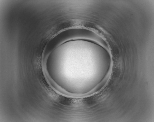 X0000073490560200608140845