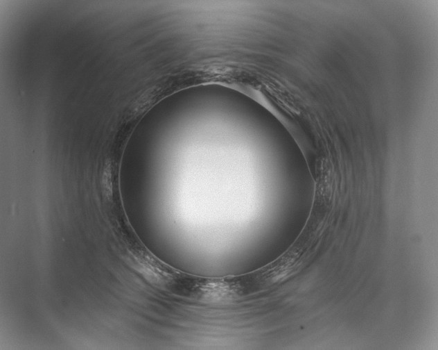 X0000073490562200608140845