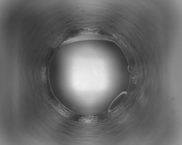 X0000073490563200608140845