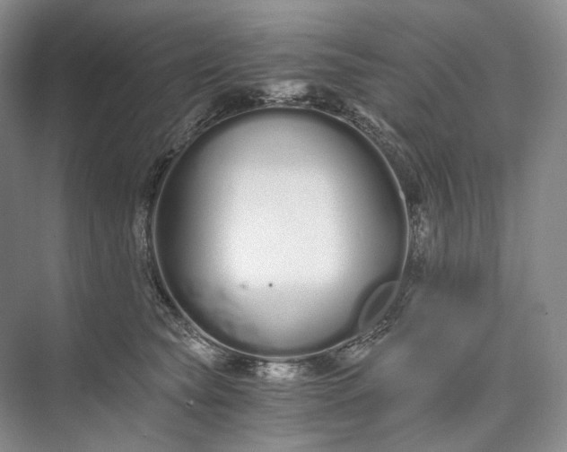 X0000073490565200608140845