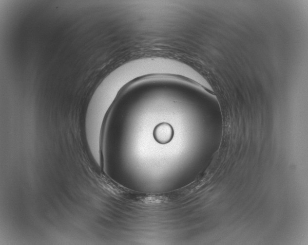 X0000073490566200608140845