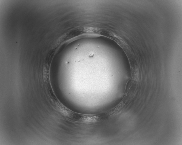 X0000073490569200608140845