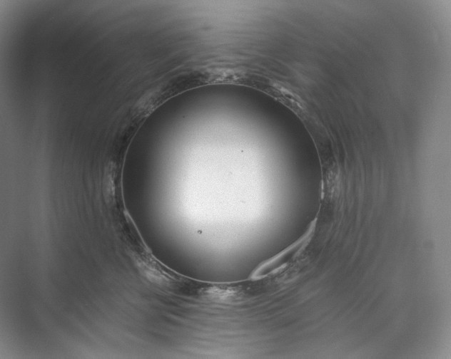 X0000073490570200608140845