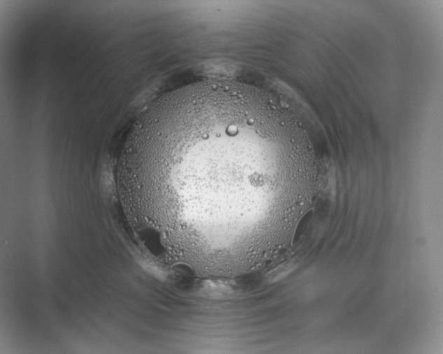 X0000073490573200608140845