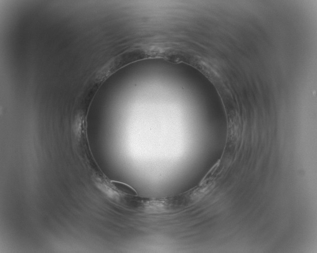 X0000073490574200608140845