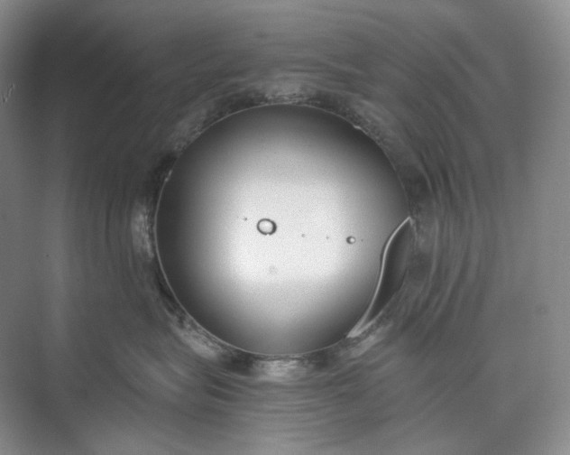 X0000073490575200608140845