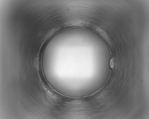 X0000073490578200608140844