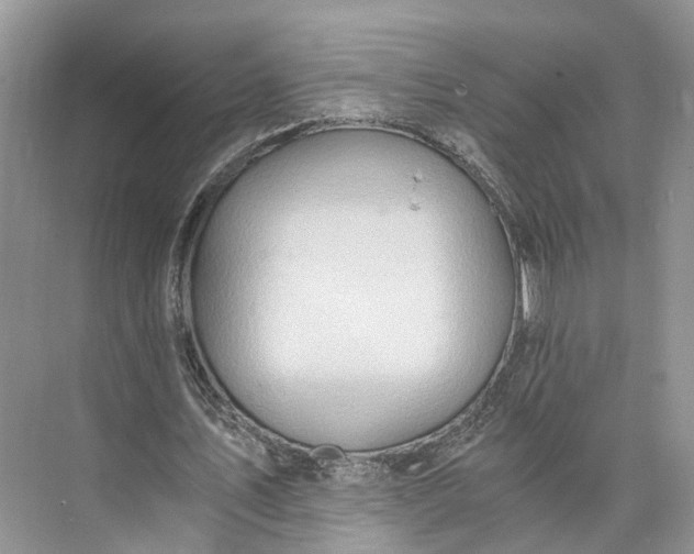 X0000073490579200608140844