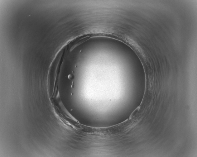 X0000073490580200608140844