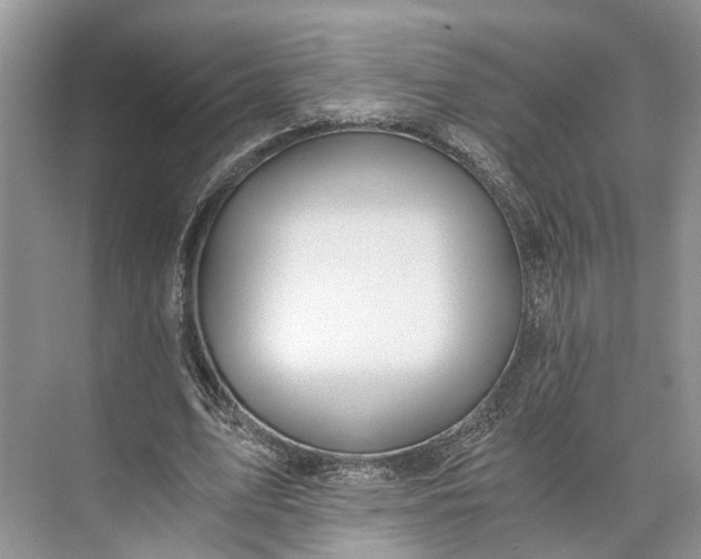 X0000073490583200608140844