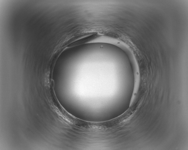 X0000073490585200608140844