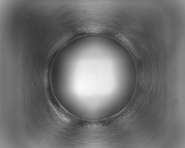 X0000073490586200608140844