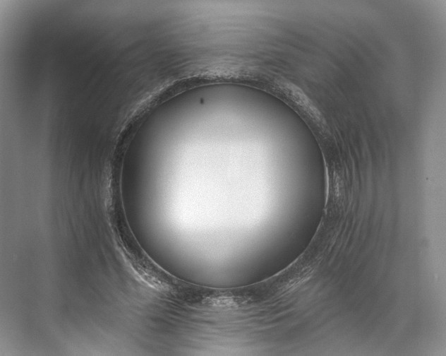 X0000073490588200608140844