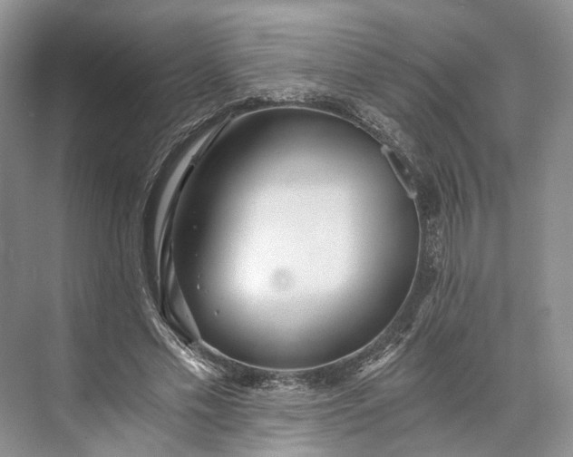 X0000073490589200608140844