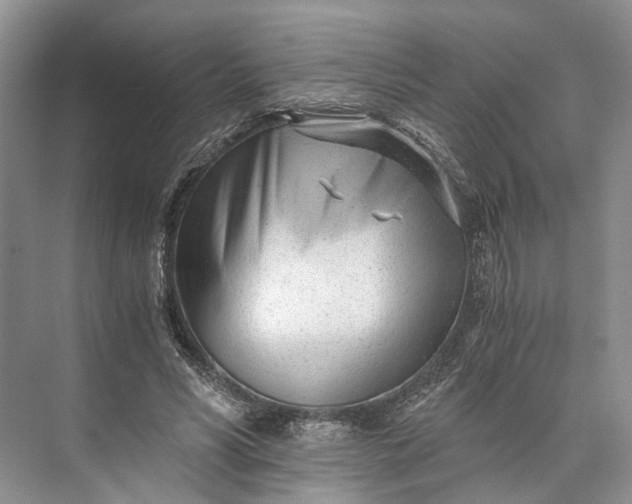 X0000073490590200608140844