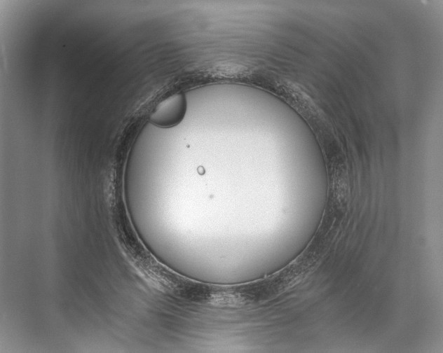 X0000073490591200608140844