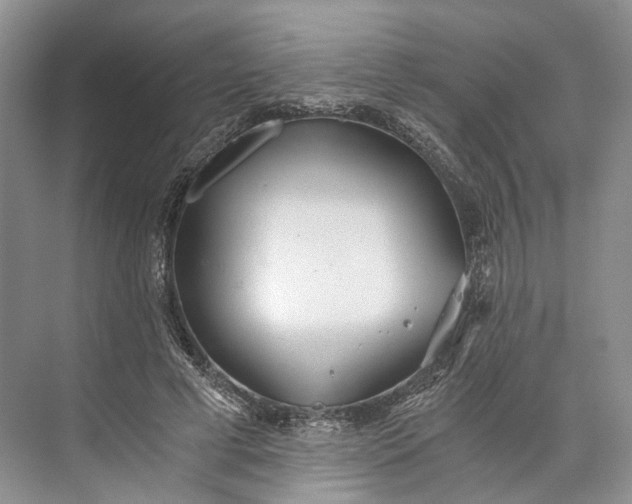 X0000073490593200608140844