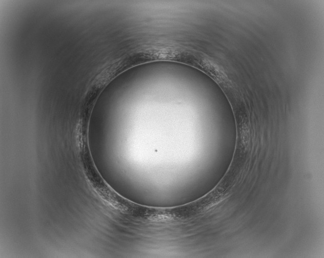 X0000073490594200608140844