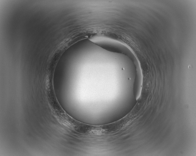 X0000073490595200608140844