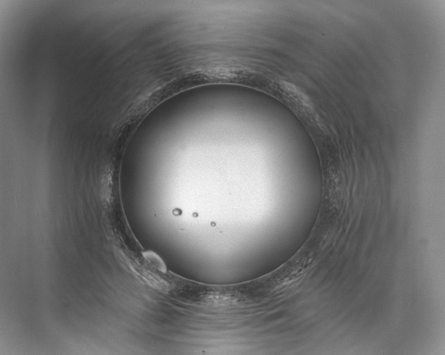 X0000073490596200608140844