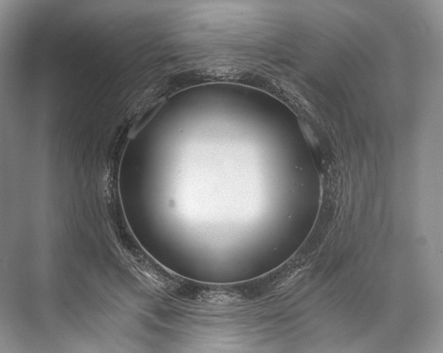 X0000073490597200608140844