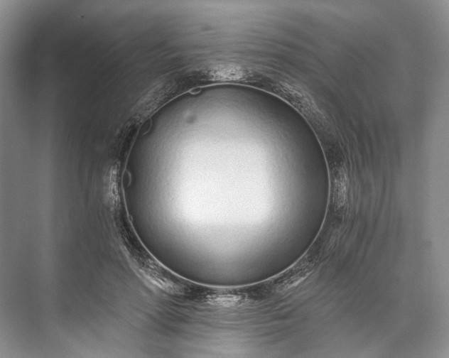 X0000073490598200608140844